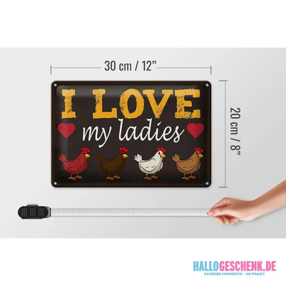 Blechschild Spruch 30x20cm Hühner i love my ladies