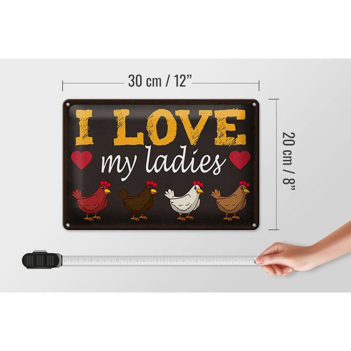 Blechschild Spruch 30x20cm Hühner i love my ladies