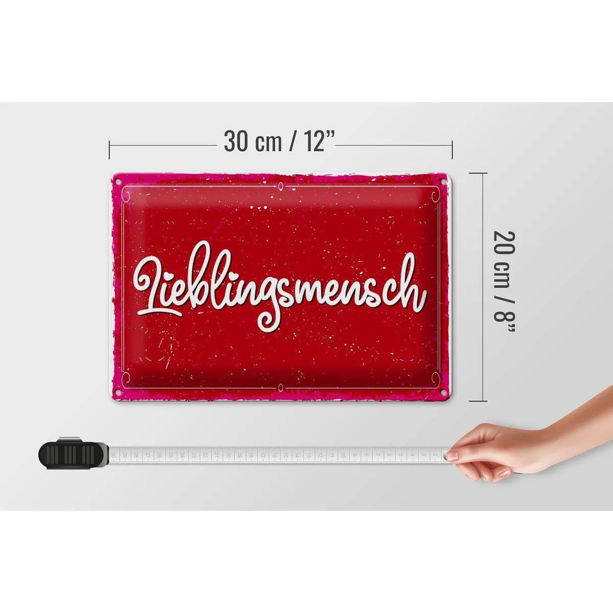 Blechschild Spruch 30x20cm Lieblingsmensch