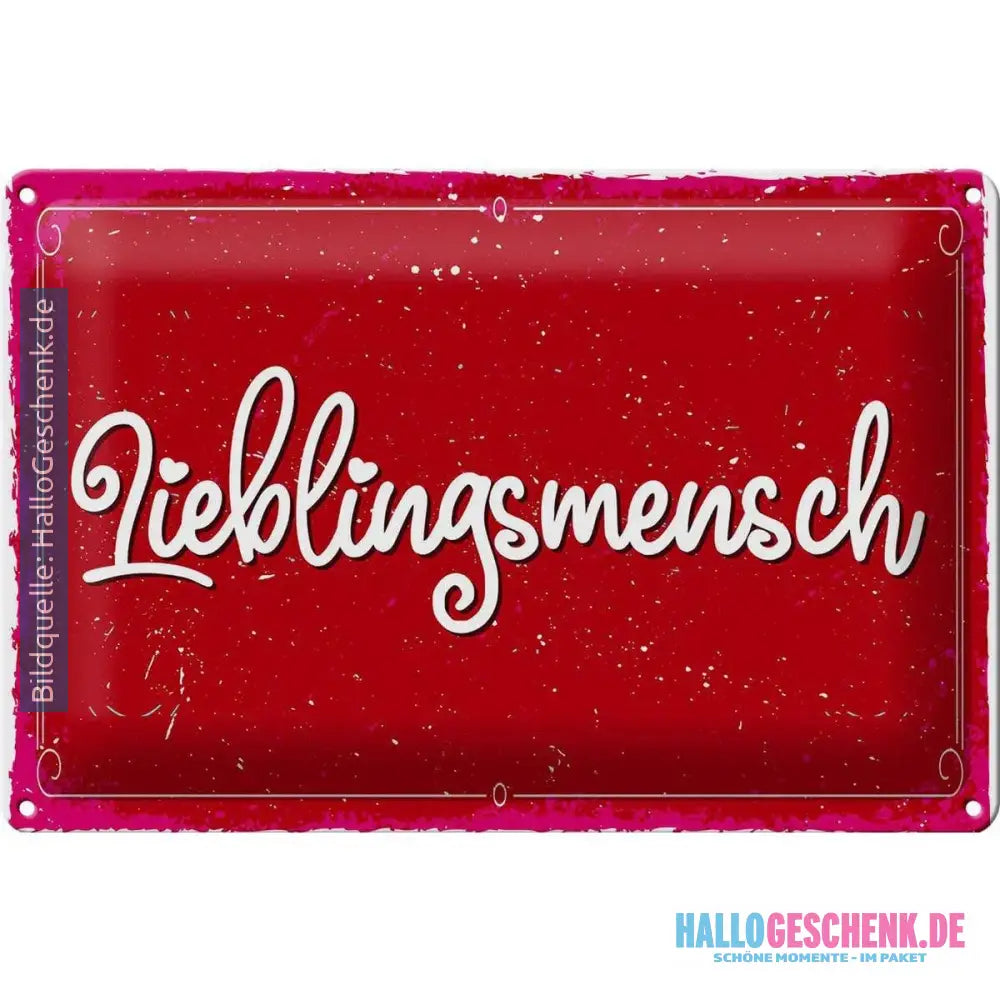 Blechschild Spruch 30x20cm Lieblingsmensch
