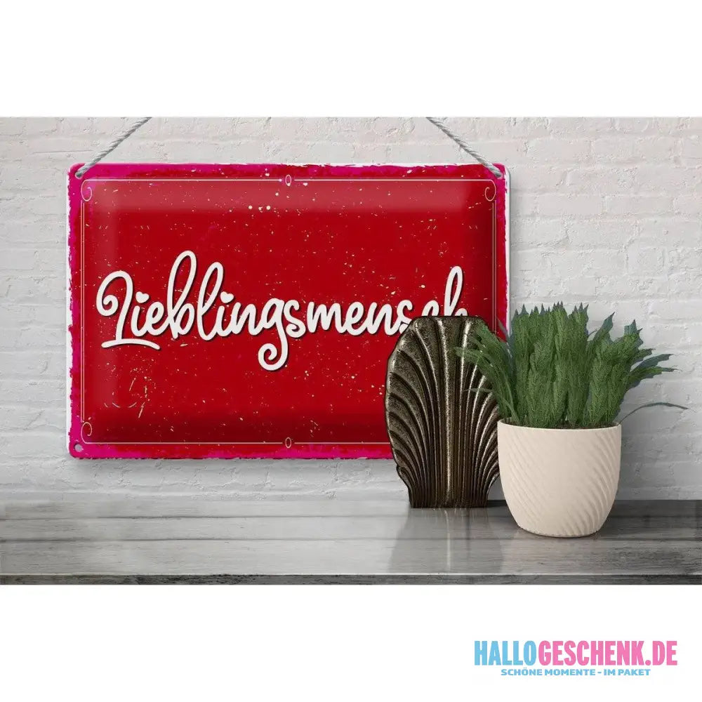 Blechschild Spruch 30x20cm Lieblingsmensch