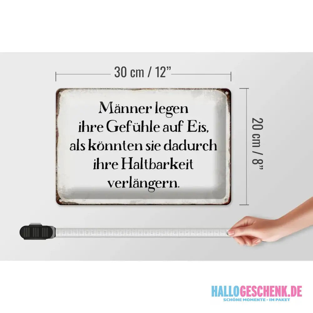 Blechschild Spruch 30x20cm Männer legen Gefühle auf Eis