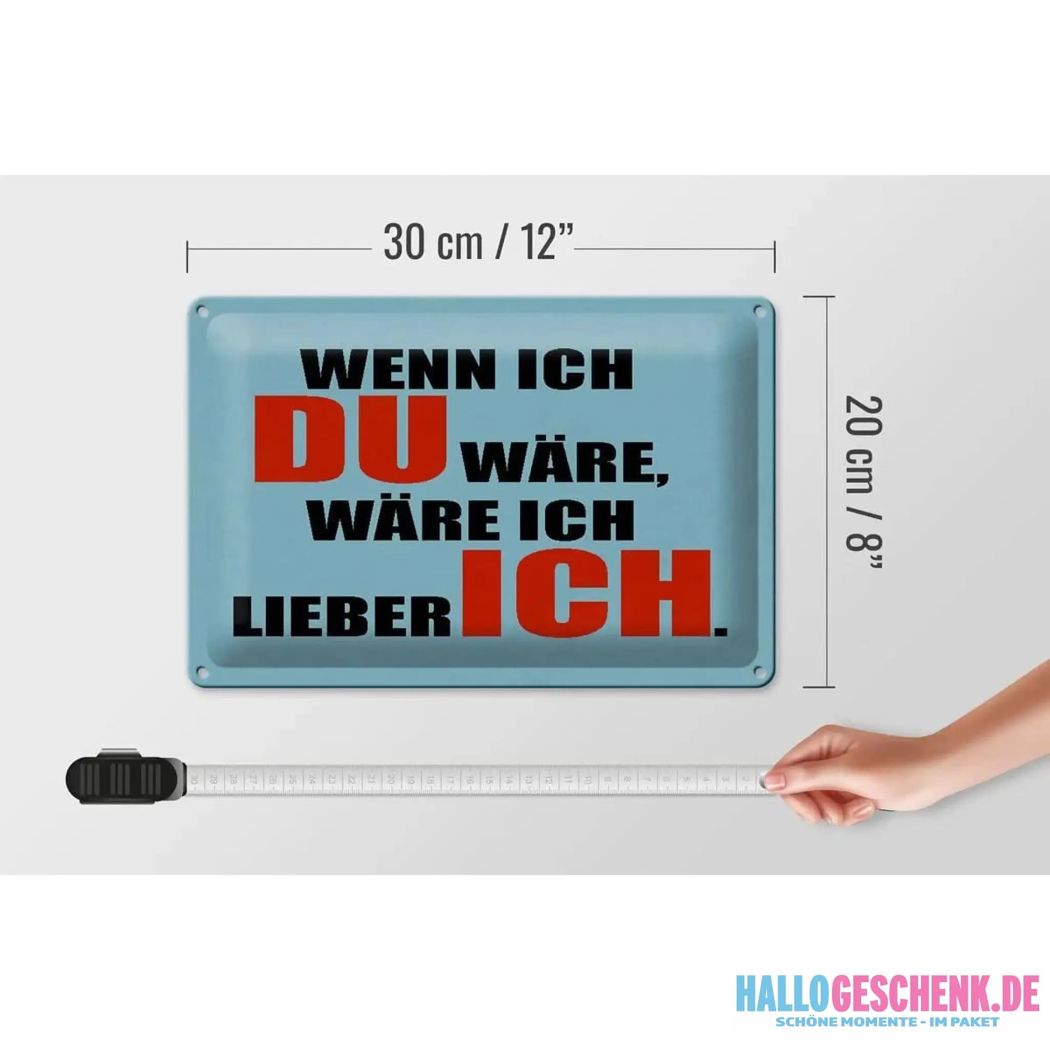 Blechschild Spruch 30x20cm wenn ich du wäre lieber ich