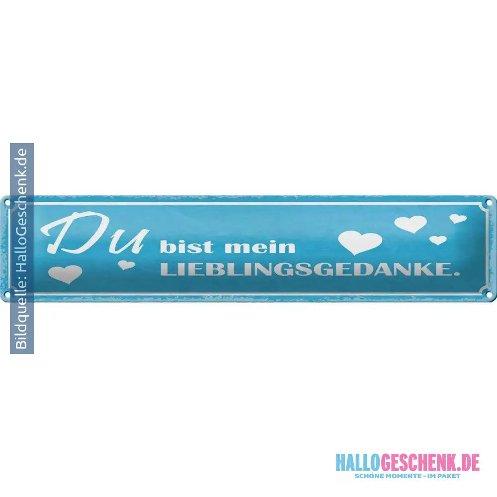 Blechschild Spruch 46x10 cm Du bist mein Lieblingsgedanke Deko Schild