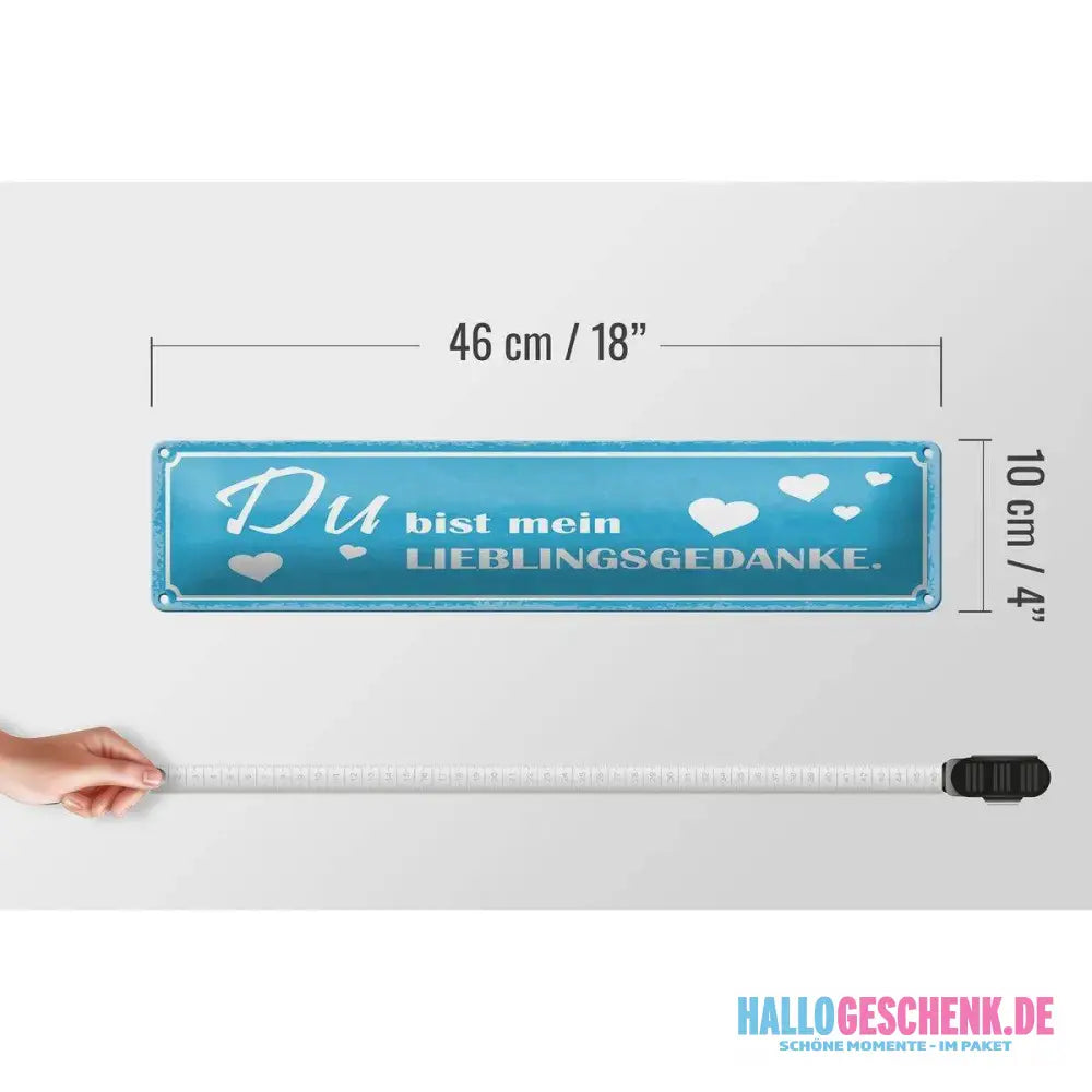 Blechschild Spruch 46x10 cm Du bist mein Lieblingsgedanke Deko Schild