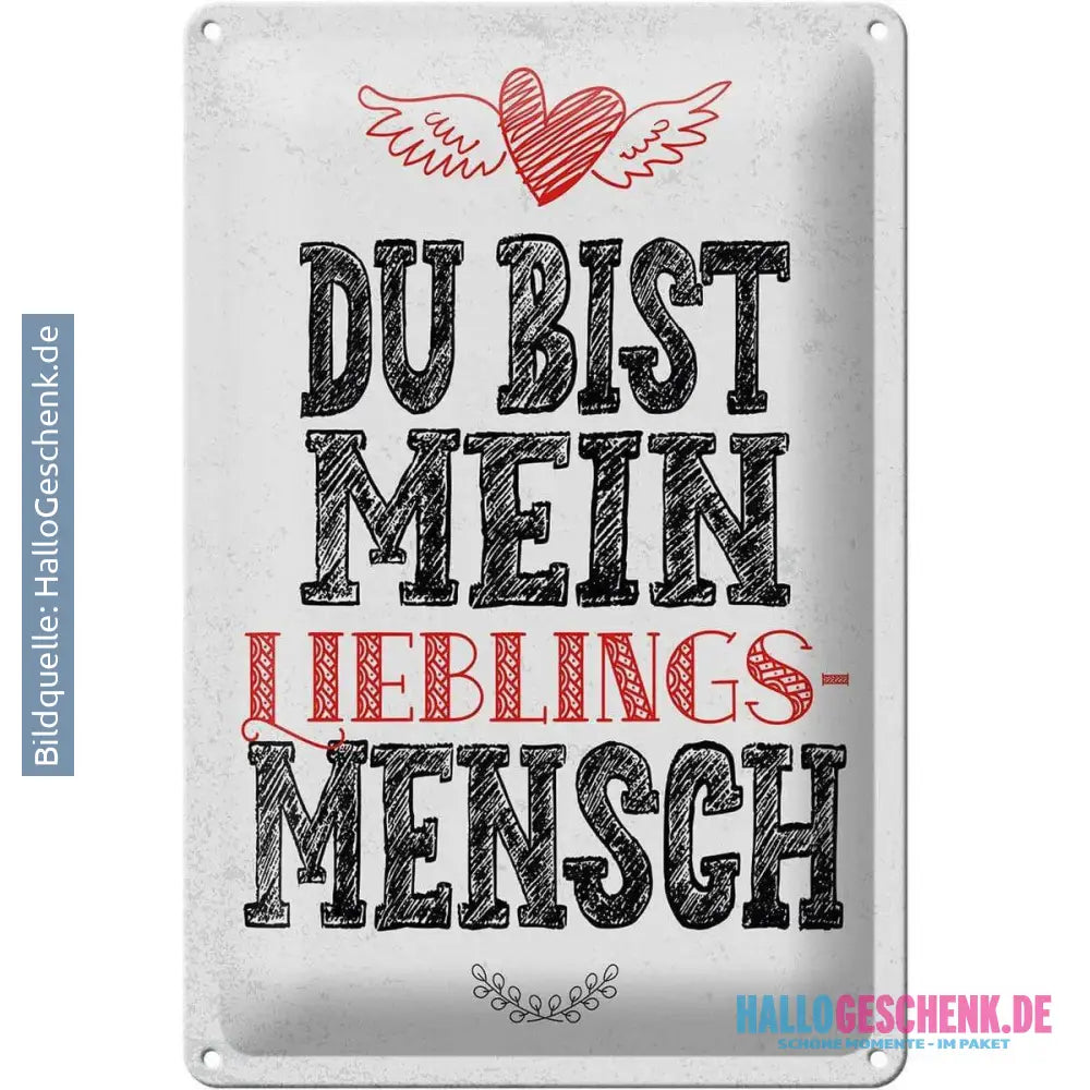 Blechschild Spruch Du bist Lieblingsmensch mein Engel 20x30cm