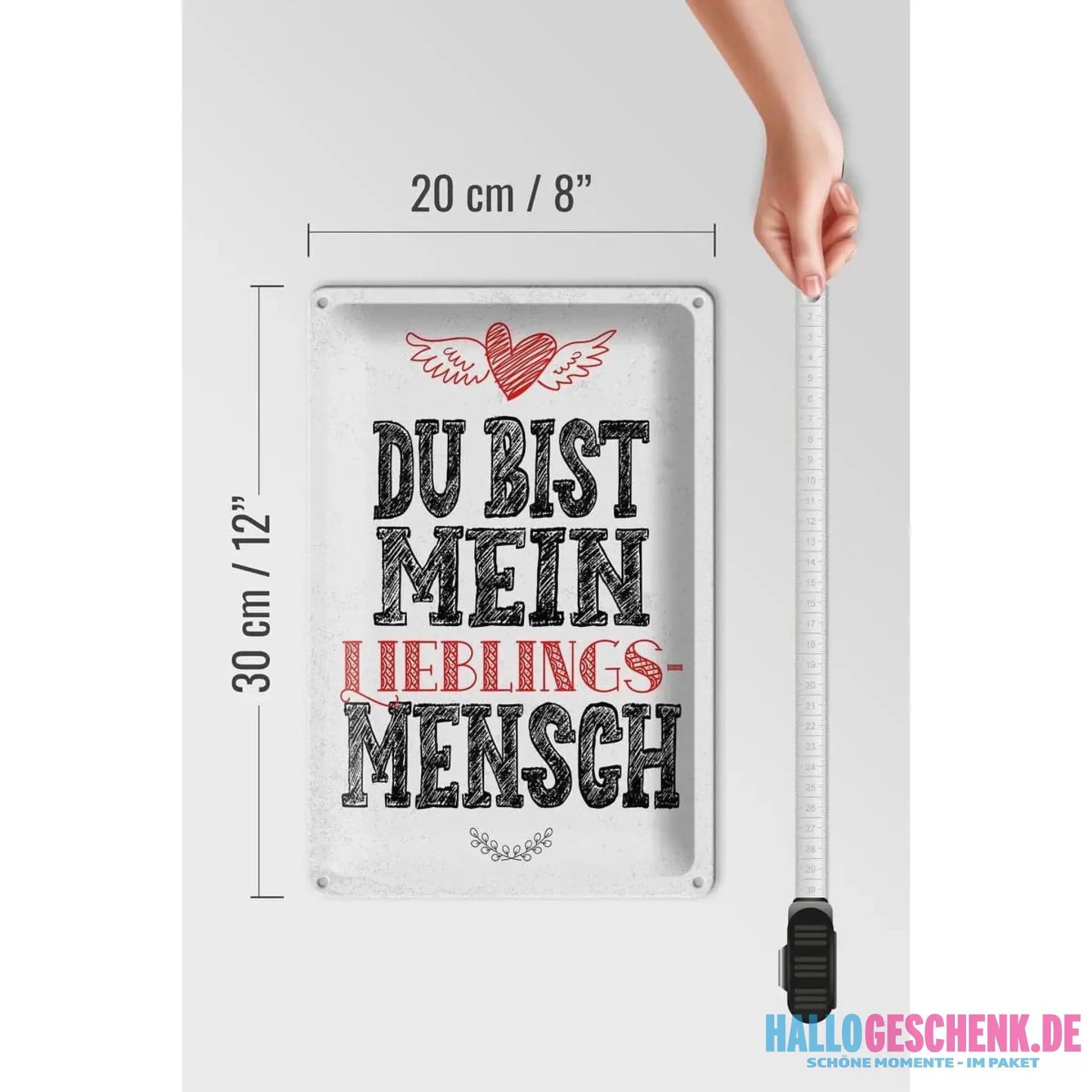 Blechschild Spruch Du bist Lieblingsmensch mein Engel 20x30cm