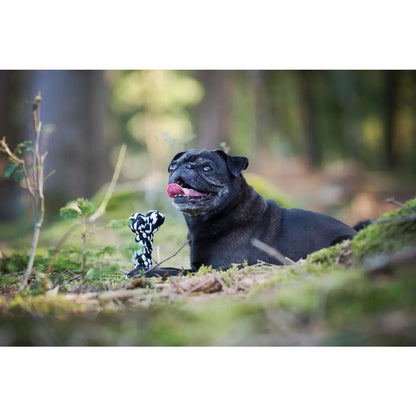 Bonnie Bone - Kult-Spielzeug für Hunde