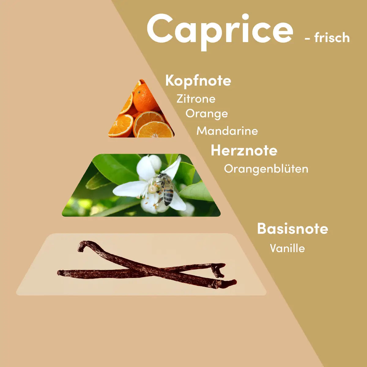 Caprice - MONODOR 200 ml Raumduft
