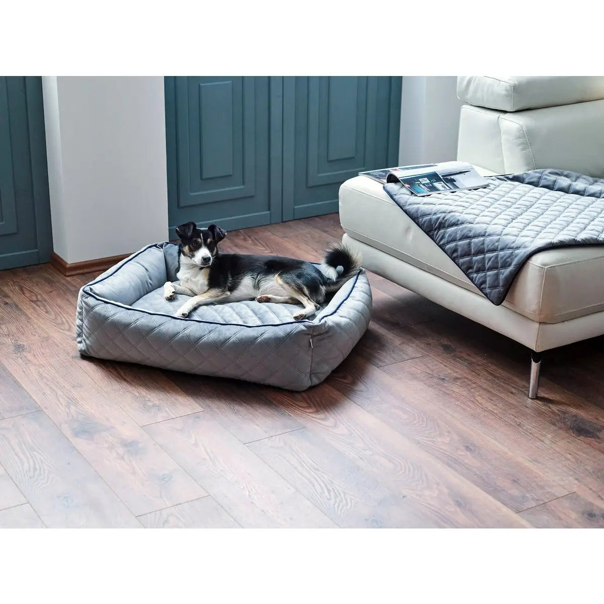 Decke OXFORD Grey - strapazierfähige Hundedecke in edler Samtoptik