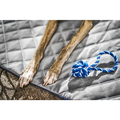 Decke OXFORD Grey - strapazierfähige Hundedecke in edler Samtoptik