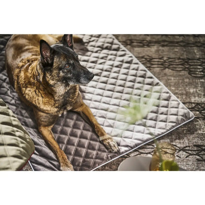 Decke OXFORD Stone - strapazierfähige Hundedecke in edler Samtoptik