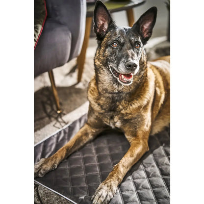 Decke OXFORD Stone - strapazierfähige Hundedecke in edler Samtoptik