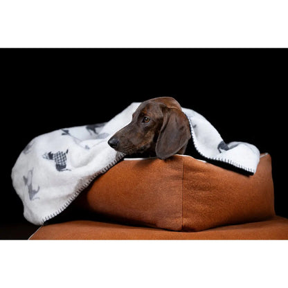 Decke TECKEL - Wendedecke mit Dackelmotiv