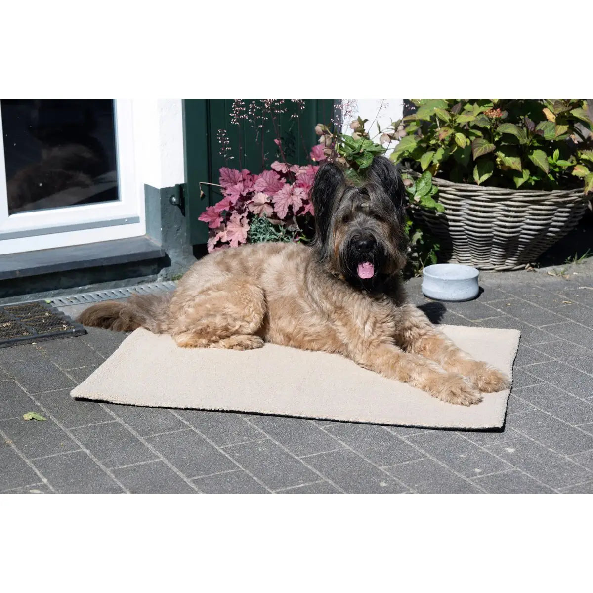 Decke TEDDY CREME - Multifunktions-Decke
