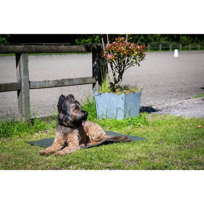 Decke TEDDY GREEN - Multifunktions-Decke