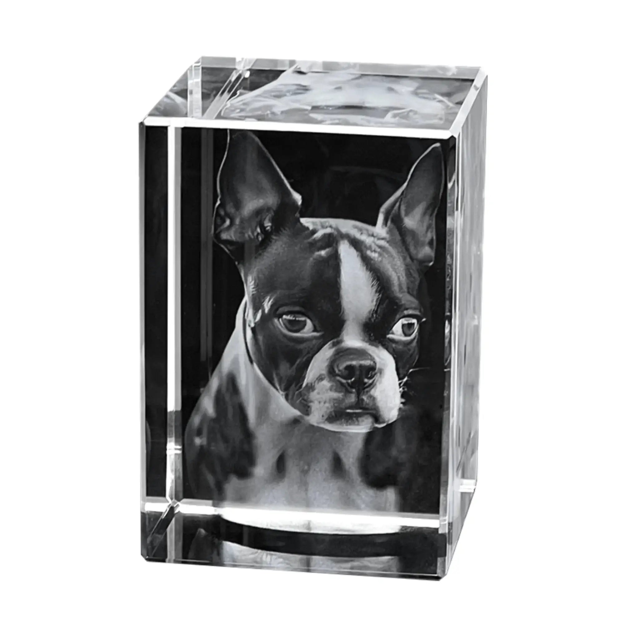 Ein schwarz weißer boston terrier lasergravur in klaren glasblock 90x60x60 mm personalisierbares fotogeschenk