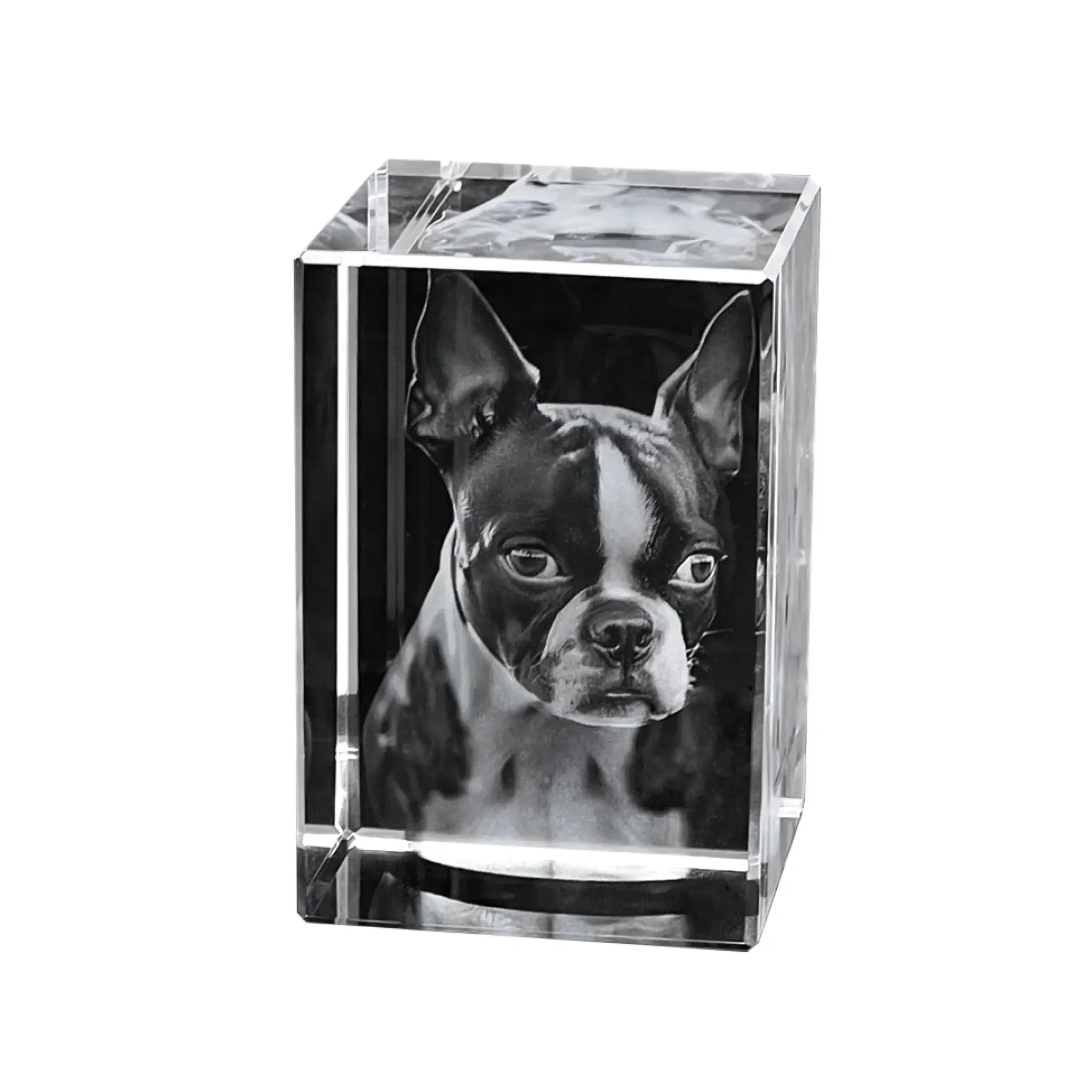 Klarer kristallwürfel mit schwarz-weiß boston terrier porträt im glasblock 90x60x60 mm personalisiertes lasergravur geschenk