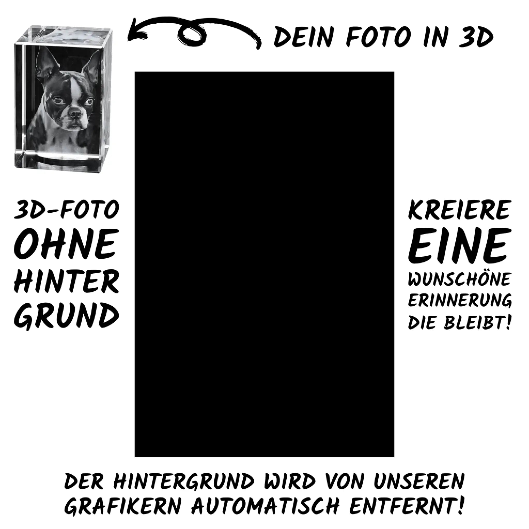 Klarer acrylwürfel mit schwarz-weißer 3d-porträtlasergravur eines boston terriers personalisierbares fotogeschenk