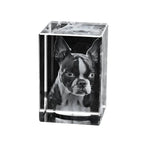 681202_ 3D Glasblock 90x60x60-hoch