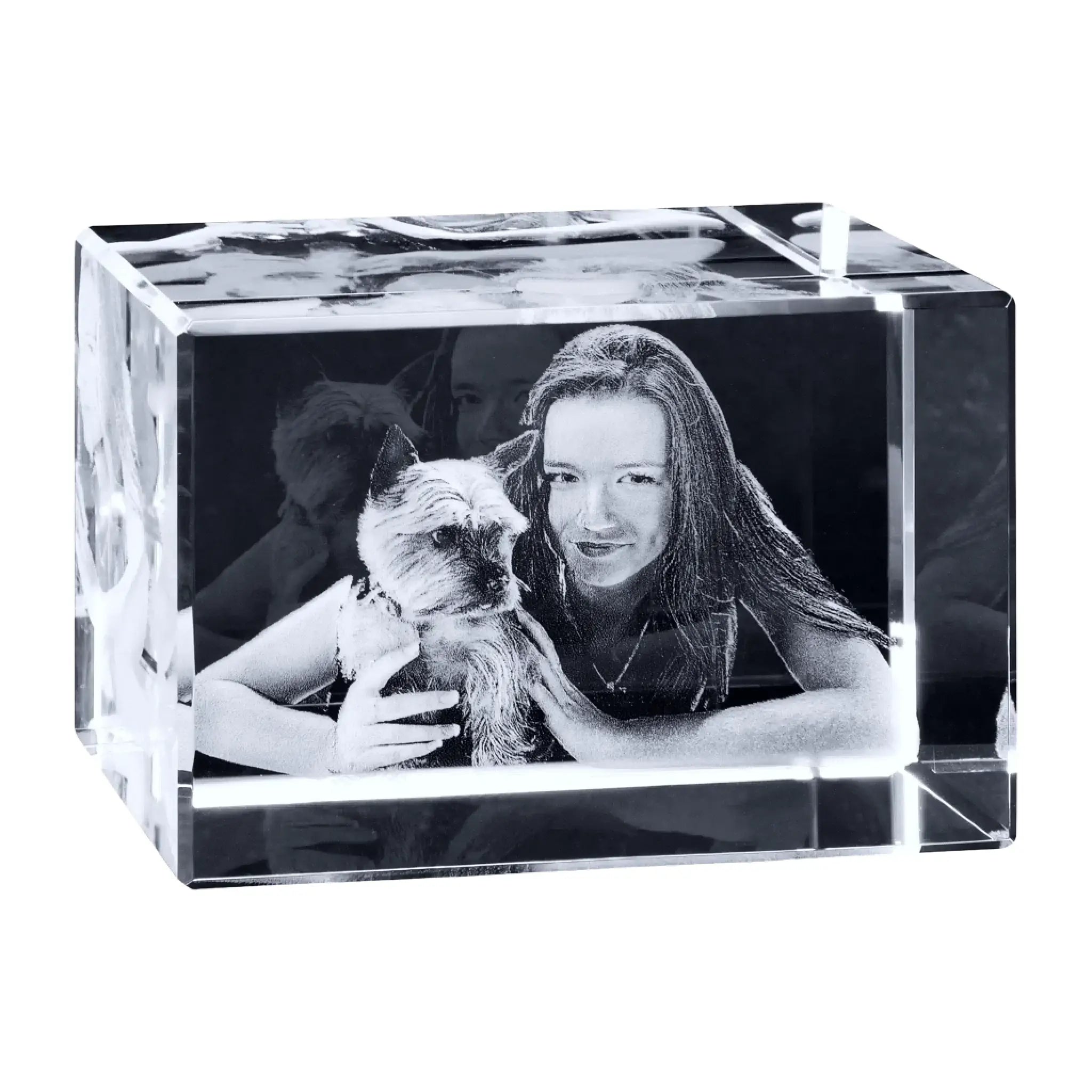 Klarer kristall-fotowürfel mit schwarz-weiß lasergravur einer frau mit langem haar und kleinem hund im glasblock set