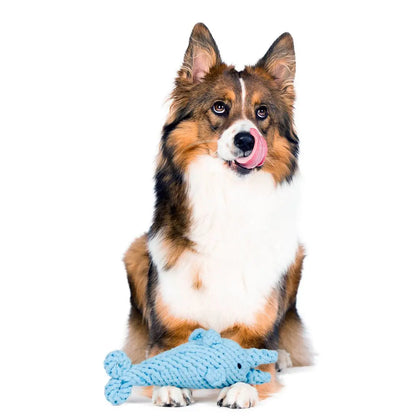 Didi Delfin - Kult-Spielzeug für Hunde