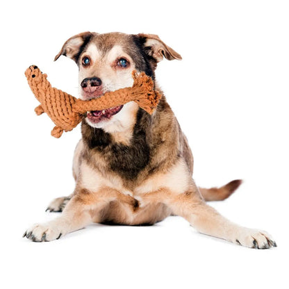 Eddie Eichhorn - Kult-Spielzeug für Hunde