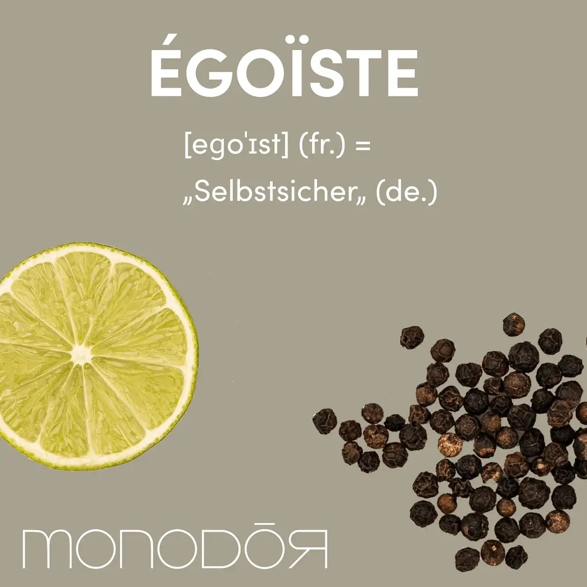 Égoïste - MONODOR 200 ml Raumduft