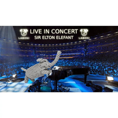 Elton Elefant - Kult-Spielzeug für Hunde