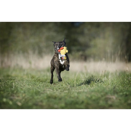 Emma Ente - Kult-Spielzeug für Hunde