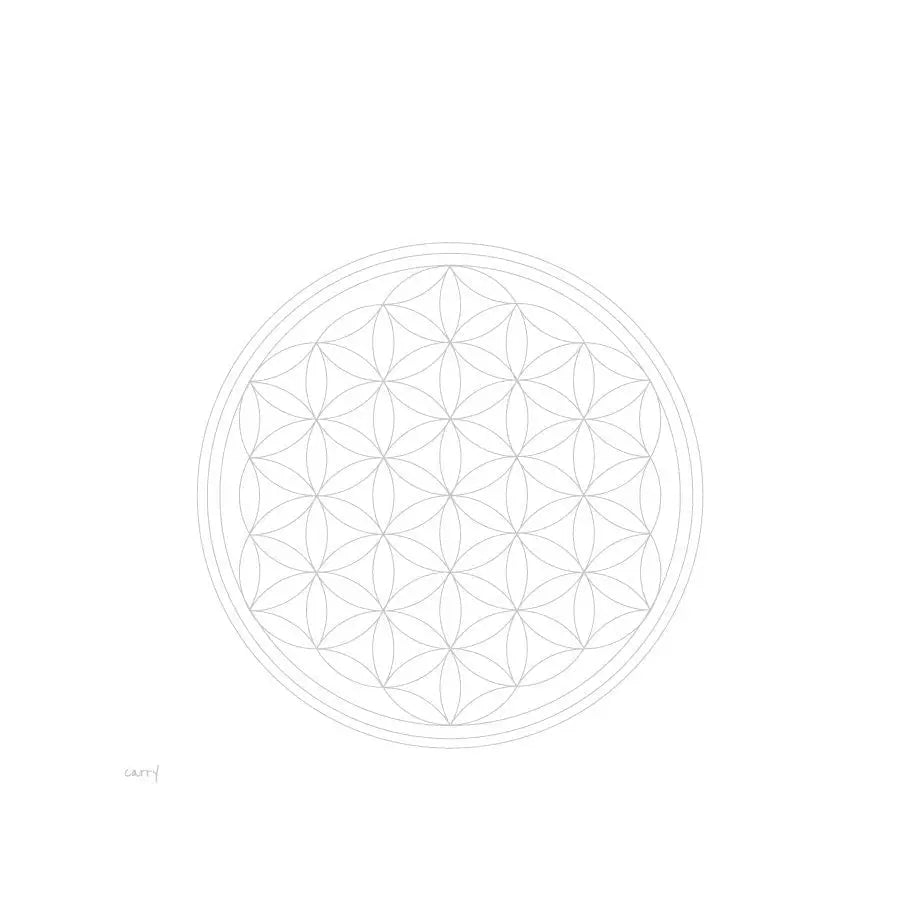 FLOWER OF LIFE 0,7 l Glasflasche