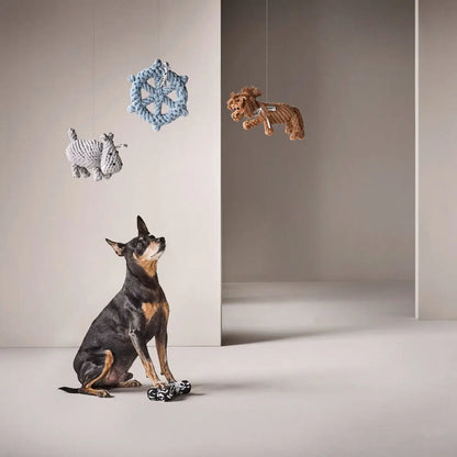 Franz Pferdinand - Kult-Spielzeug für Hunde