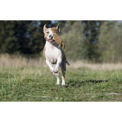 Franz Pferdinand - Kult-Spielzeug für Hunde