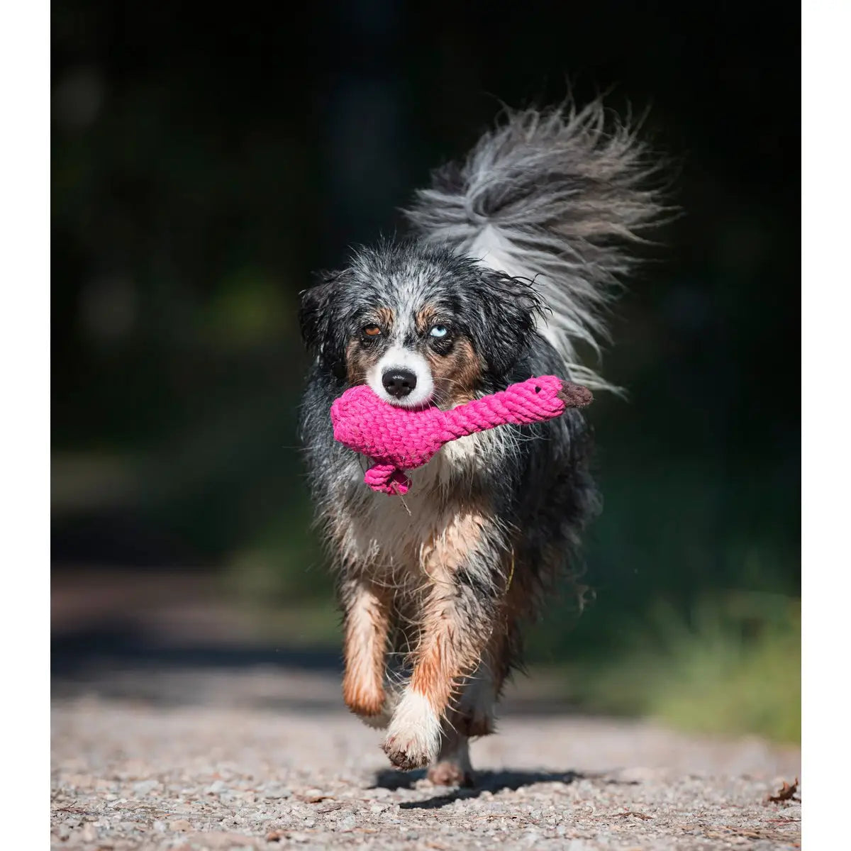 Franzi Flamingo - Kult-Spielzeug für Hunde