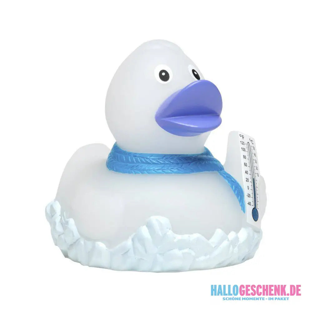 Frosty • Quietsche-Ente / Badeente