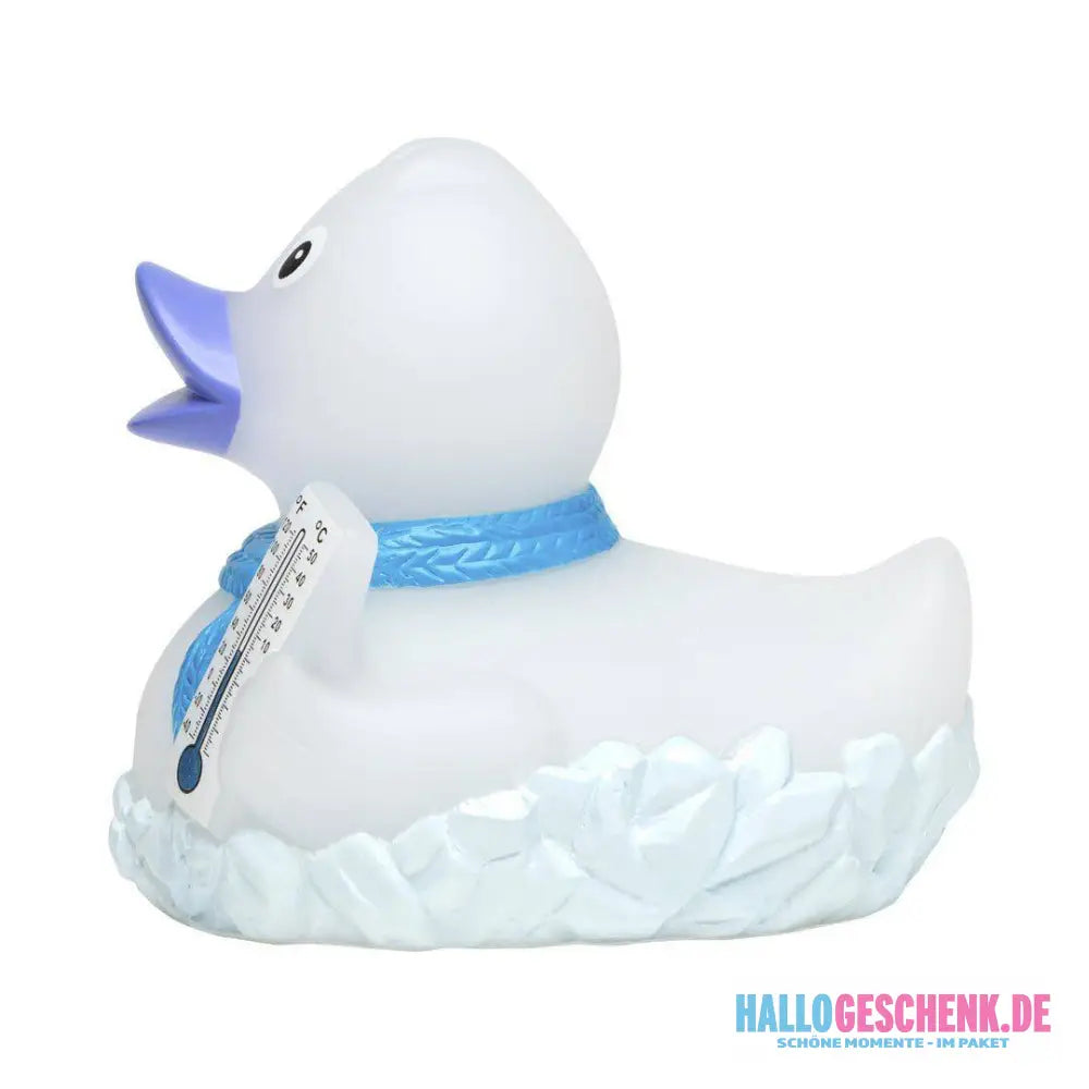 Frosty • Quietsche-Ente / Badeente