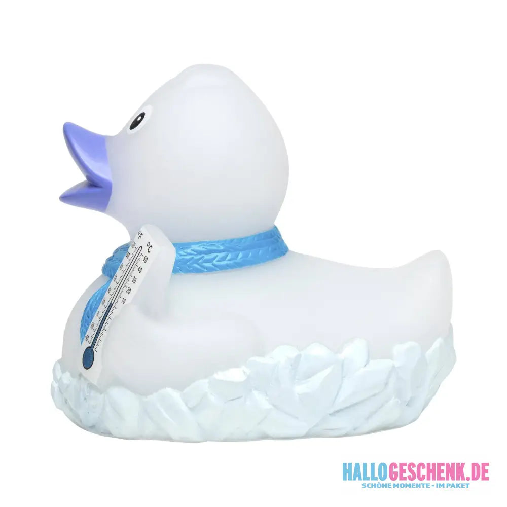 Frosty • Quietsche-Ente / Badeente
