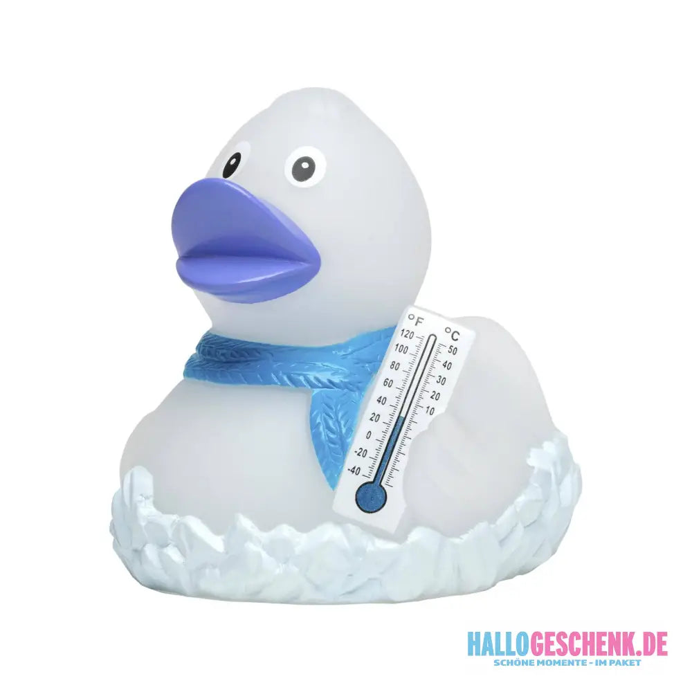 Frosty • Quietsche-Ente / Badeente