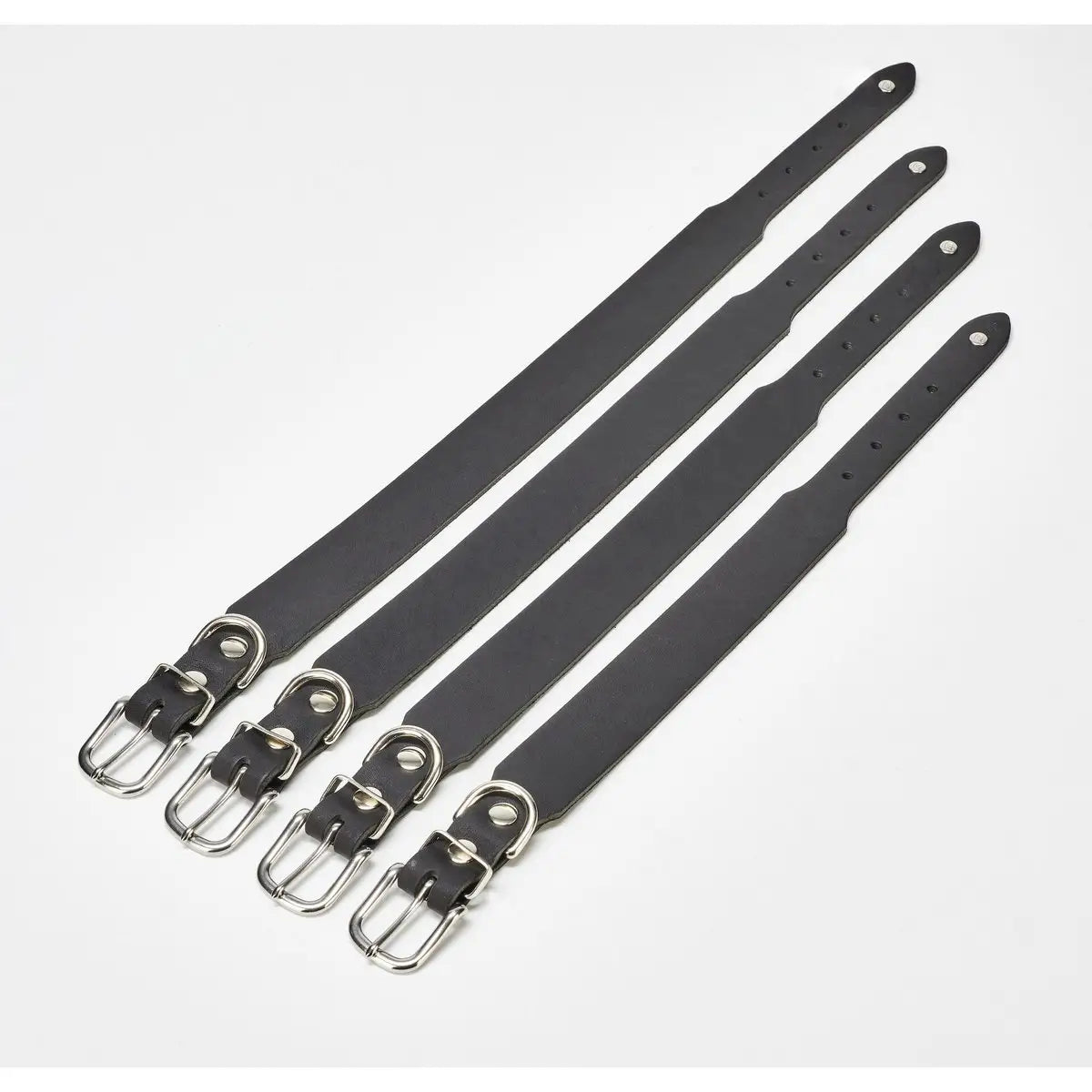 GIRO Black - Klassisches Halsband für jeden Einsatz