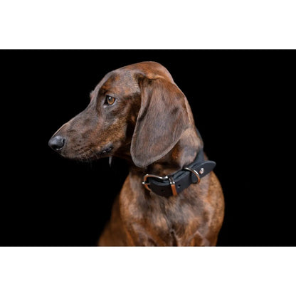GIRO Black - Klassisches Halsband für jeden Einsatz