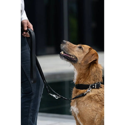 GIRO Black - Klassisches Halsband für jeden Einsatz