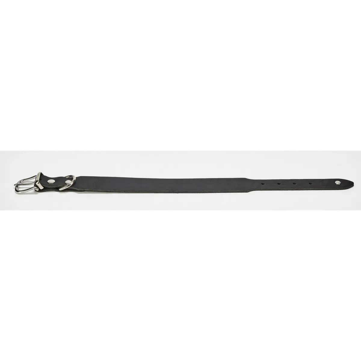 GIRO Black - Klassisches Halsband für jeden Einsatz