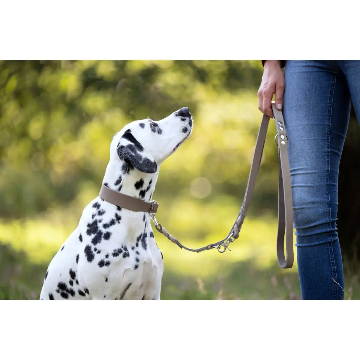 GIRO Grey - Klassisches Halsband für jeden Einsatz