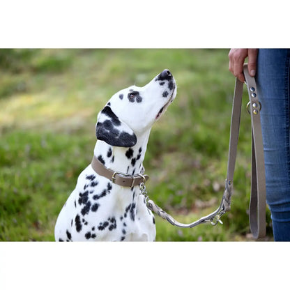GIRO Grey - Klassisches Halsband für jeden Einsatz