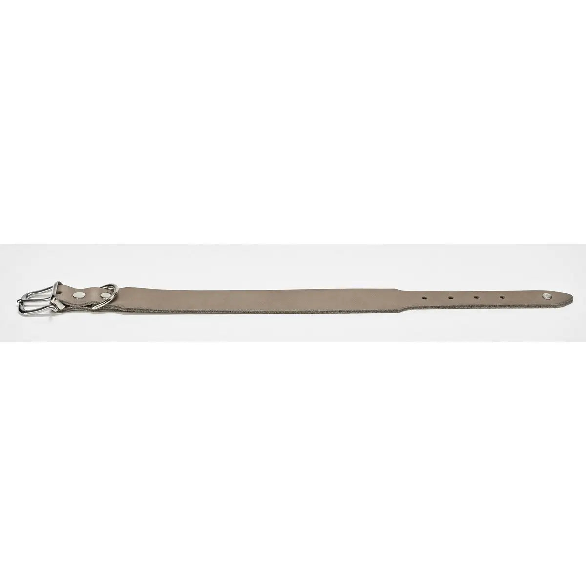 GIRO Grey - Klassisches Halsband für jeden Einsatz