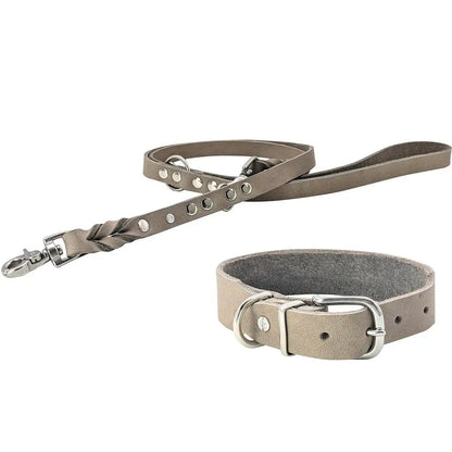 GIRO Grey - Klassisches Halsband für jeden Einsatz