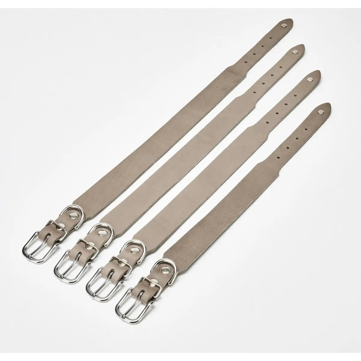 GIRO Grey - Klassisches Halsband für jeden Einsatz
