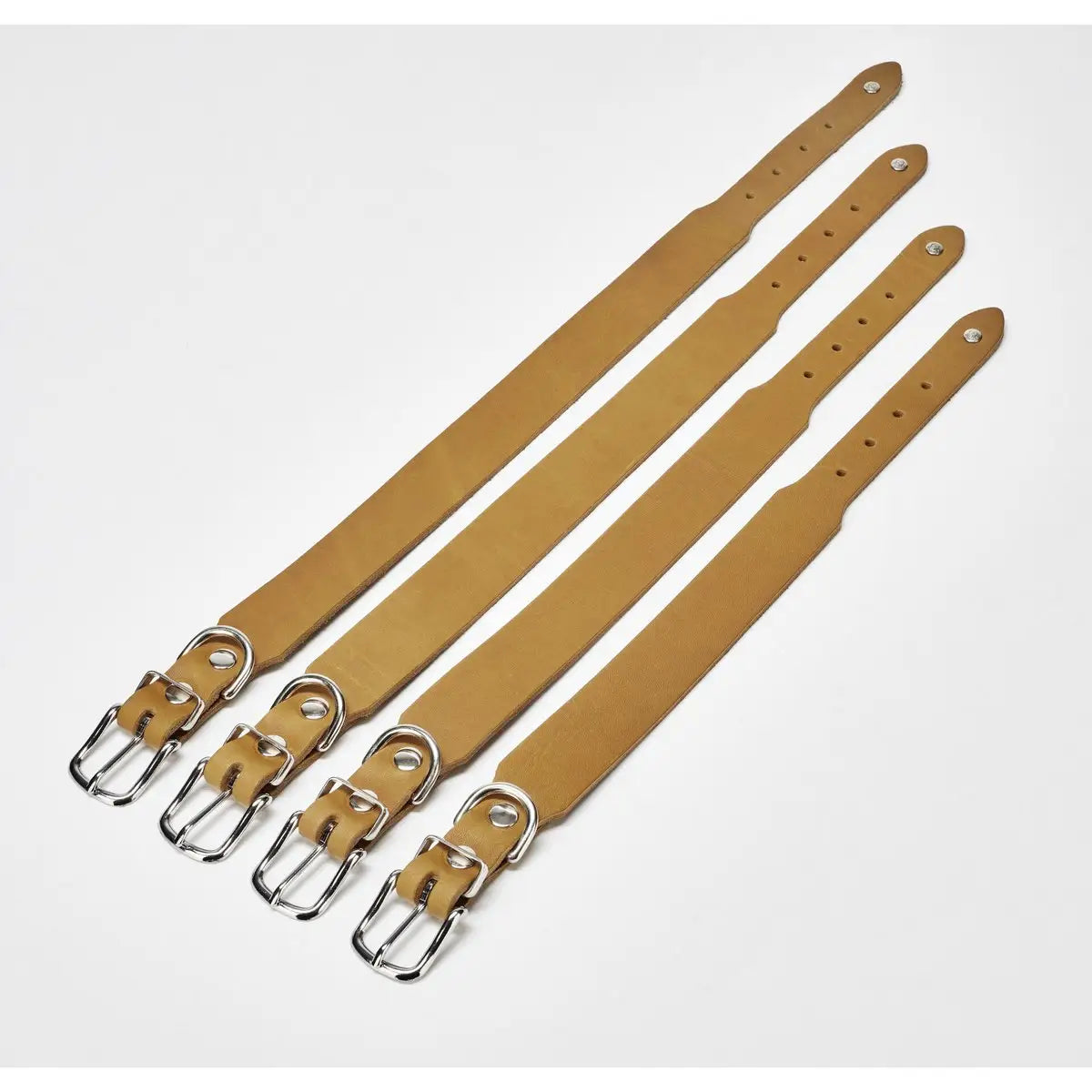 GIRO HONEY - Klassisches Halsband für jeden Einsatz