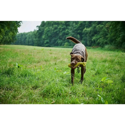 Greta Giraffe - Kult-Spielzeug für Hunde