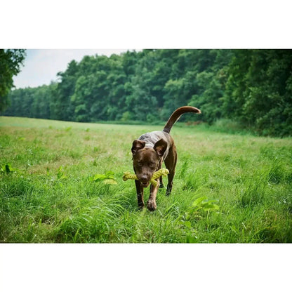 Greta Giraffe - Kult-Spielzeug für Hunde